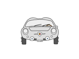 Animation used with permission and with many thanks to Renald E. for graciously providing it.